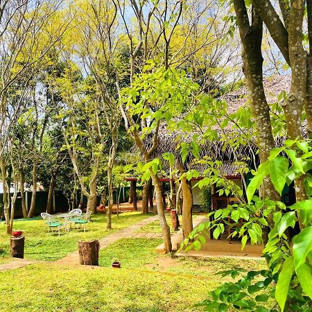 Kingfisher Resort סיגירייה מראה חיצוני תמונה