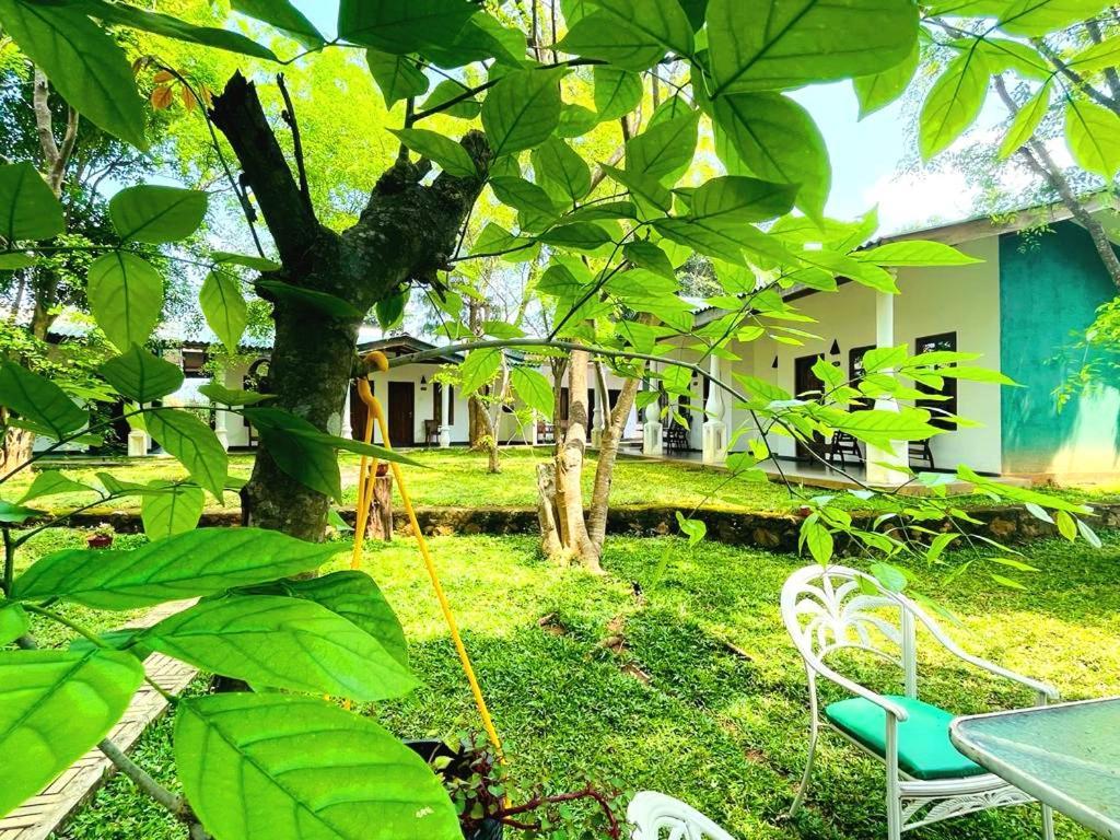Kingfisher Resort סיגירייה מראה חיצוני תמונה