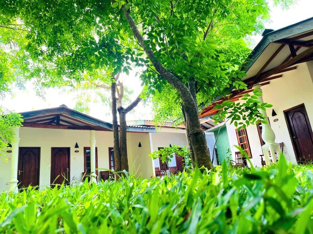 Kingfisher Resort סיגירייה מראה חיצוני תמונה